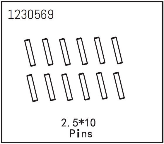 Pins 2.5*10 (12)