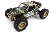 Amewi RC auto Desert Truck Max Fox 1:24