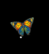 Günther drak Butterfly