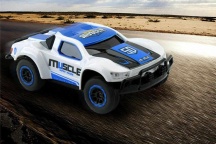 MUSCLE rally racing 1/43, outlet