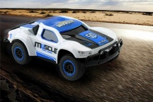 RC auto MUSCLE rally racing